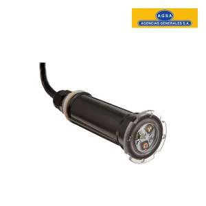 Luz blanca brillante Globrite 15W -T08226392SR PENTAIR