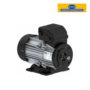 Motor Eléctrico Corriente Alterna - Trifásicos W12 - 220/380V WEG